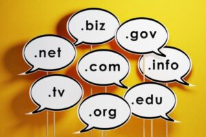 What is the importance of domain name?